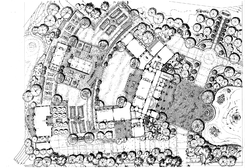 Preliminary Landscape Plan VI